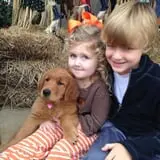 Stewart Farms photo