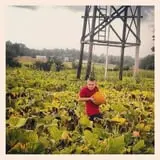 Stewart Farms photo