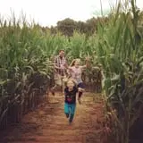 Stewart Farms photo