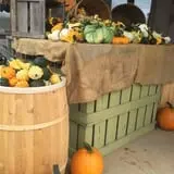 Stewart Farms photo