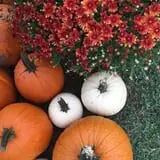 Stewart Farms photo