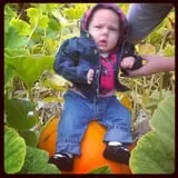 Stewart Farms photo