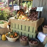 Stewart Farms photo