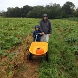 Stewart Farms photo