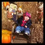 Stewart Farms photo
