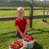 Stewart Farms photo