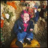 Stewart Farms photo