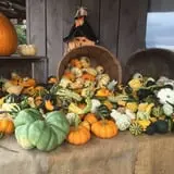 Stewart Farms photo