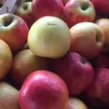 Stewart Farms photo