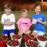 Stewart Farms photo