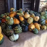Stewart Farms photo