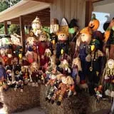 Stewart Farms photo