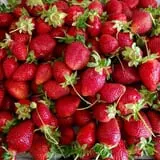 Stewart Farms photo