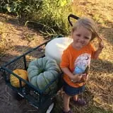 Colony Pumpkin Patch photo