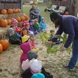 Colony Pumpkin Patch photo