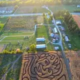 Colony Pumpkin Patch photo