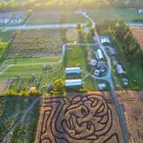 Colony Pumpkin Patch photo