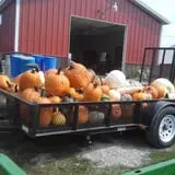 Colony Pumpkin Patch photo