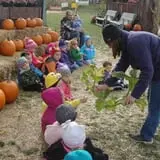 Colony Pumpkin Patch photo