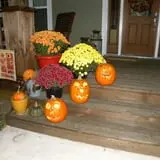 Colony Pumpkin Patch photo