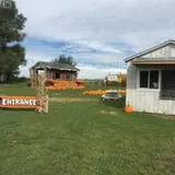 Colony Pumpkin Patch photo