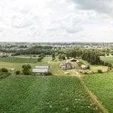 Colony Pumpkin Patch photo