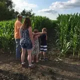 Colony Pumpkin Patch photo