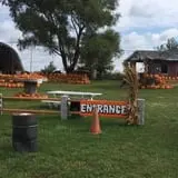 Colony Pumpkin Patch photo