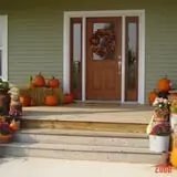 Colony Pumpkin Patch photo