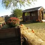 Colony Pumpkin Patch photo