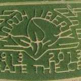 Colony Pumpkin Patch photo