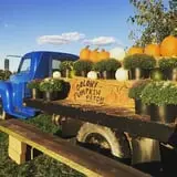 Colony Pumpkin Patch photo