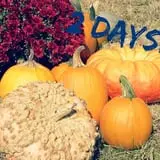 Colony Pumpkin Patch photo