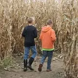 Colony Pumpkin Patch photo