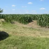 Colony Pumpkin Patch photo