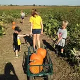 Colony Pumpkin Patch photo