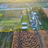 Colony Pumpkin Patch photo