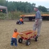 Colony Pumpkin Patch photo