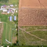 Colony Pumpkin Patch photo