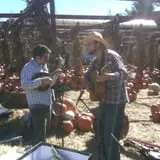 Silverman's Farm Pumpkin Patch photo