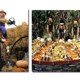 Silverman's Farm Pumpkin Patch photo