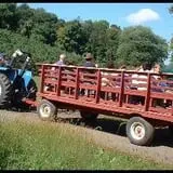 Silverman's Farm Pumpkin Patch photo