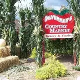 Silverman's Farm Pumpkin Patch photo