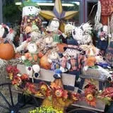 Silverman's Farm Pumpkin Patch photo