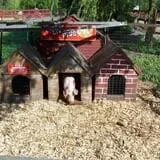 Silverman's Farm Pumpkin Patch photo
