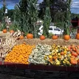 Silverman's Farm Pumpkin Patch photo