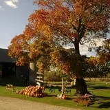 Porter's Patch photo