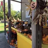 Porter's Patch photo