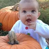 Wellwood Orchards photo