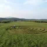 Wellwood Orchards photo